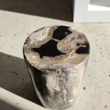 Side table in petrified wood