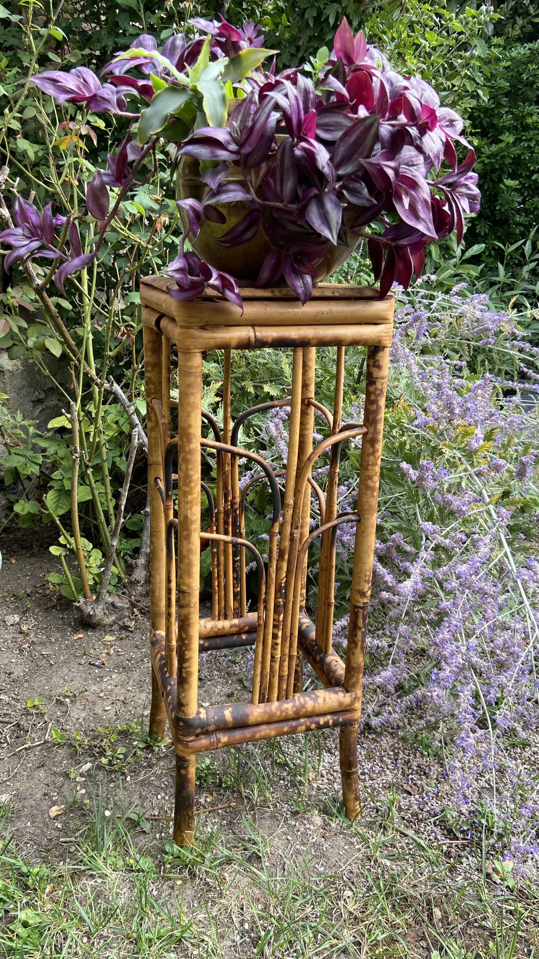 Plant holder or harness in rattan and vintage bamboo