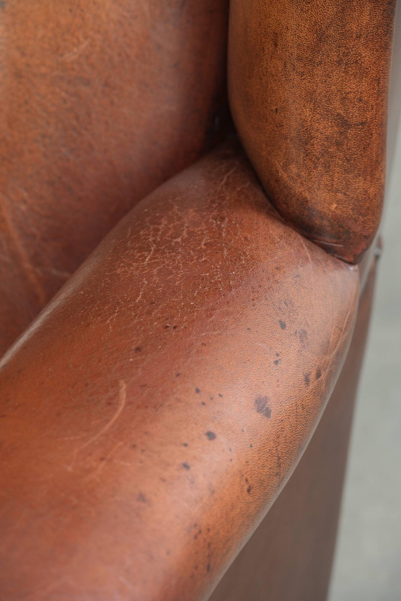 Sheepskin wingback armchair in a warm cognac colour with refined nailhead trim