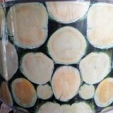 Lamp in wrought iron lampshade tree trunk decoration