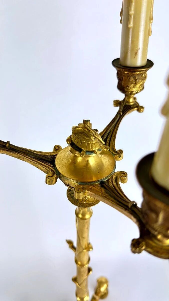 Pair of candelabra with a crane in gilded bronze, bamboo model.