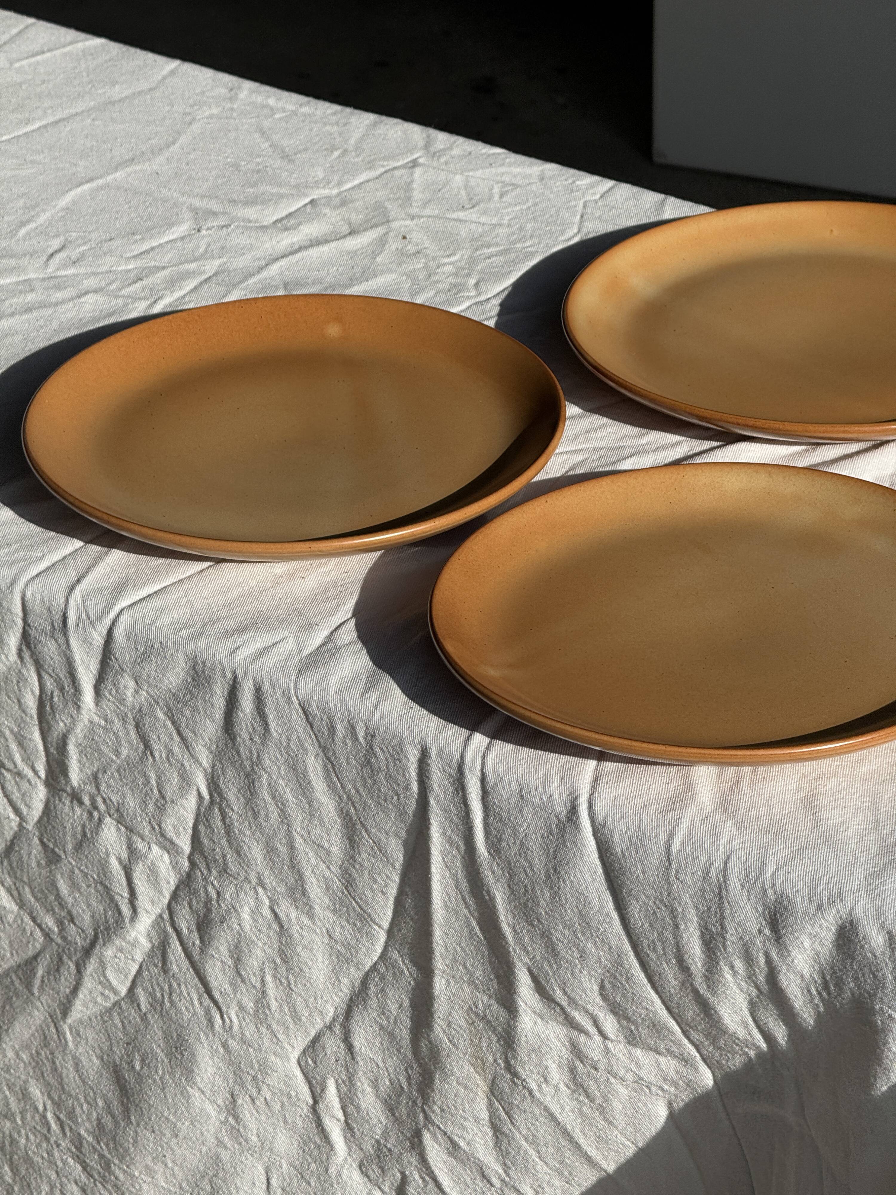 Set of 4 flat dinner plates in stoneware, no brand underneath.