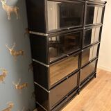 Black Globe Wernicke Bookcase