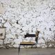 Cesca b64 armchair Marcel Breuer