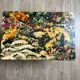 Table basse porte revues