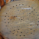 Chair child years 30 fische