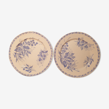 Duo flat plates Badonvillers