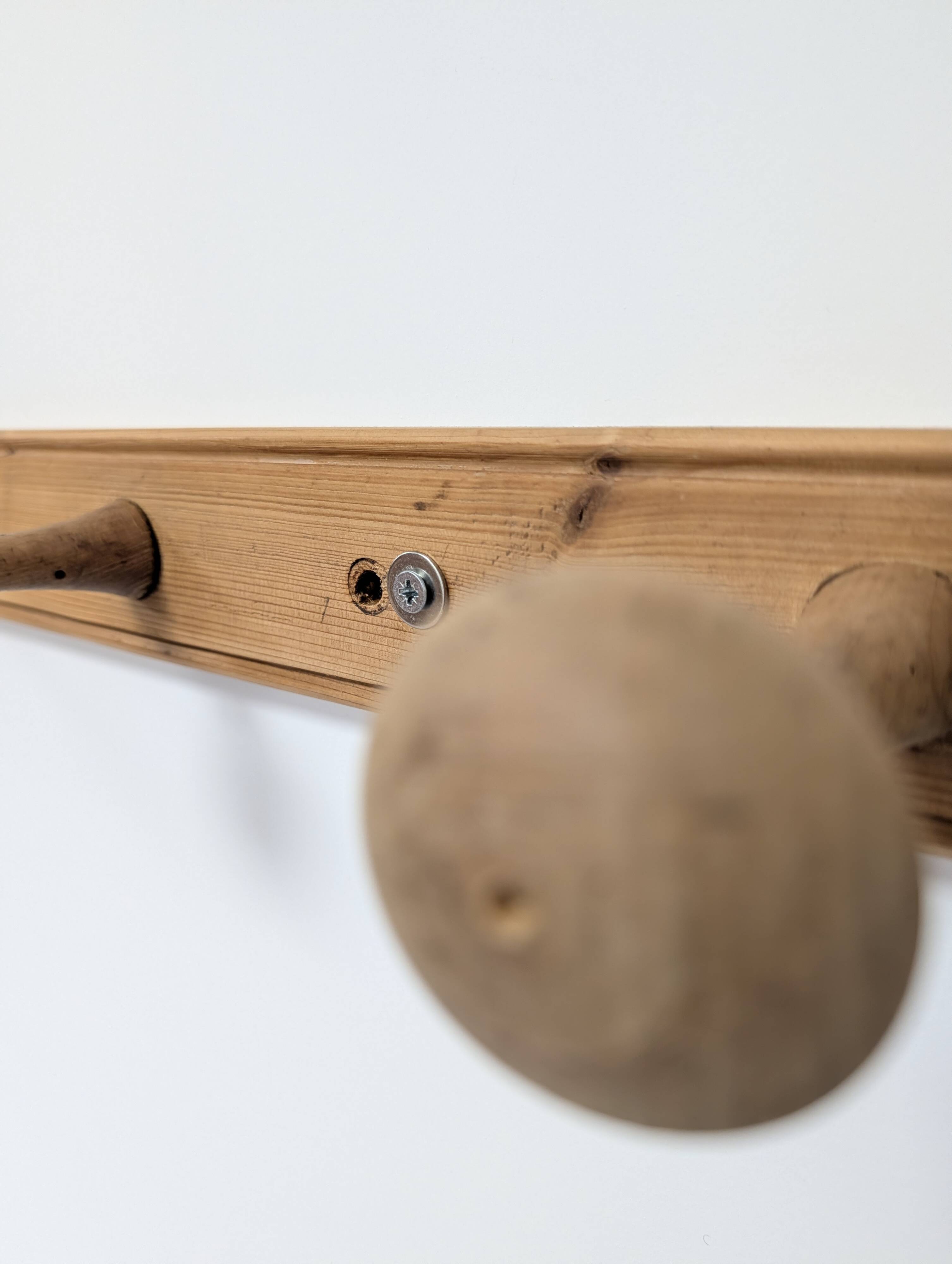 Wall-mounted coat rack with 12 hooks