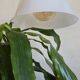 XXL opal tulip pendant light
