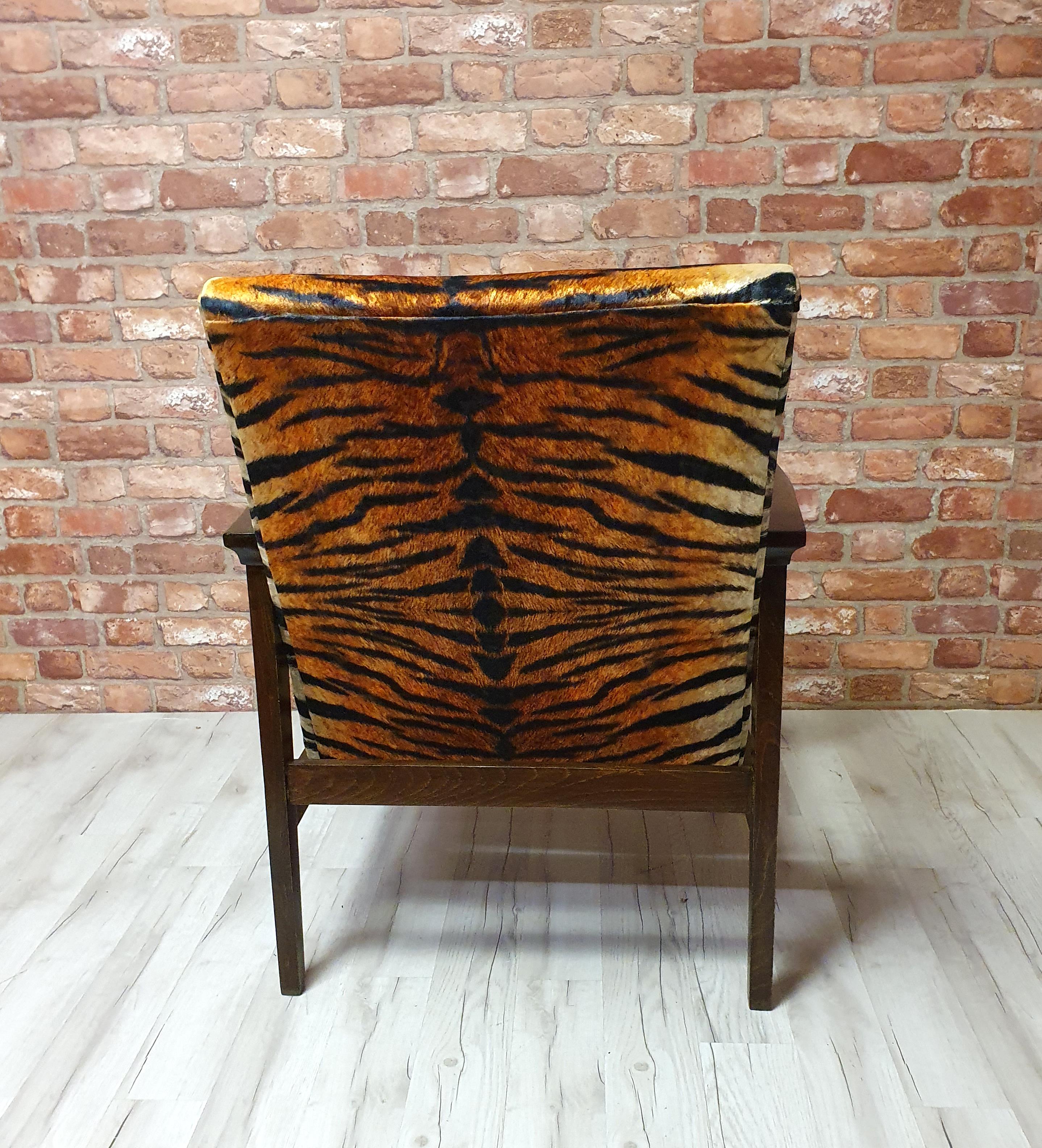 Renovated armchair BW-14, Tiger, Poland 1960s