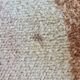 Vintage Design Rug 1970's Wool 2 x 3 m