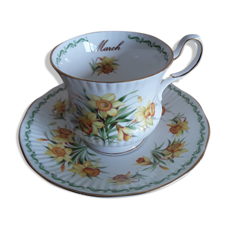 Queen's March Daffodil English porcelain tea cup
