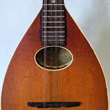 Levin high-end antique mandolin with flat bottom