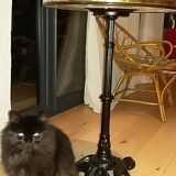Table round bistro vintage cast iron foot, brass strap, renovated.