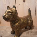 Chien scottish laiton