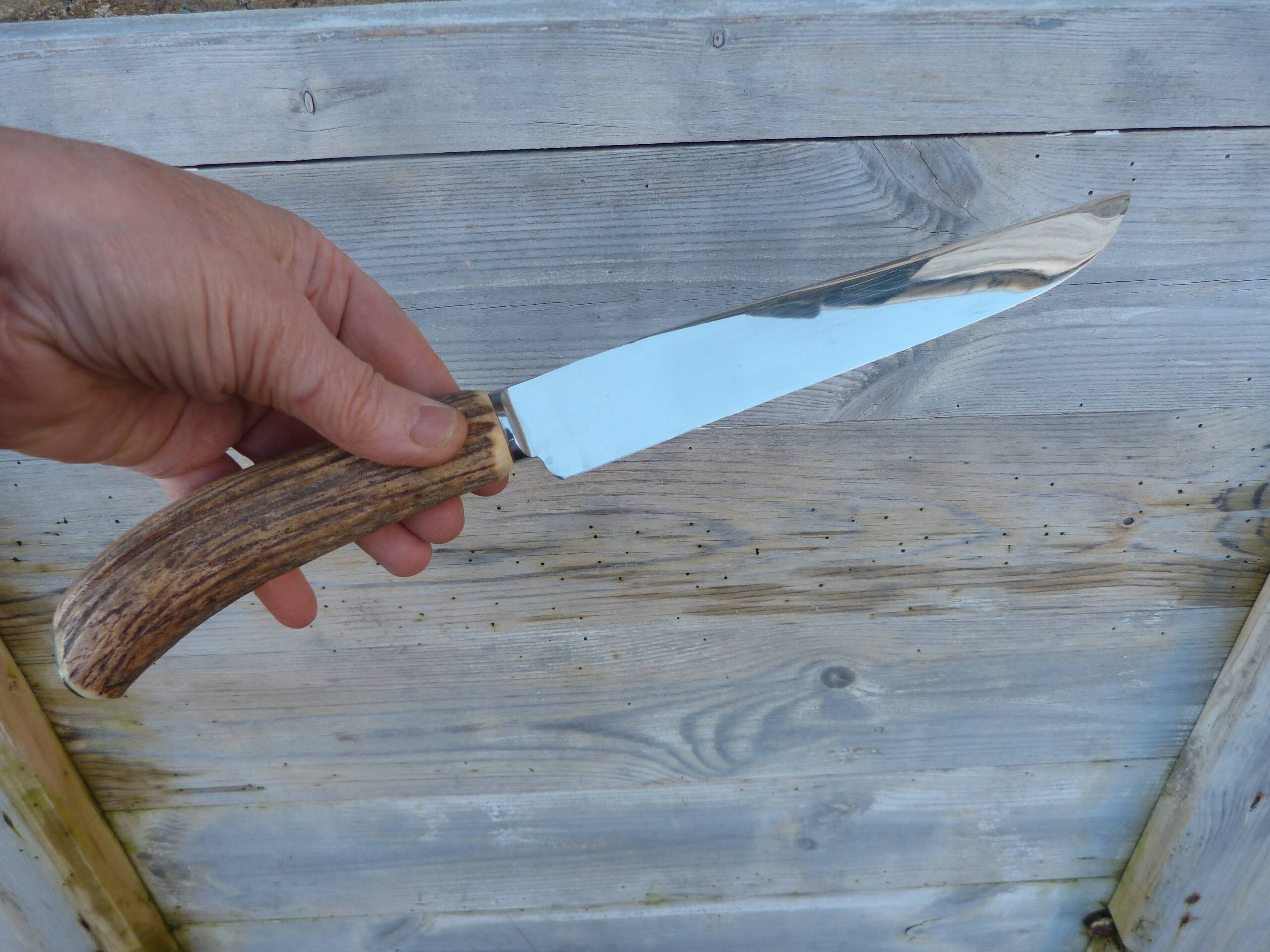Horn and stainless steel lamb service meat knife