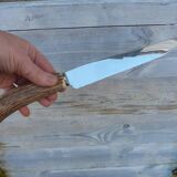 Horn and stainless steel lamb service meat knife