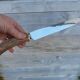 Horn and stainless steel lamb service meat knife