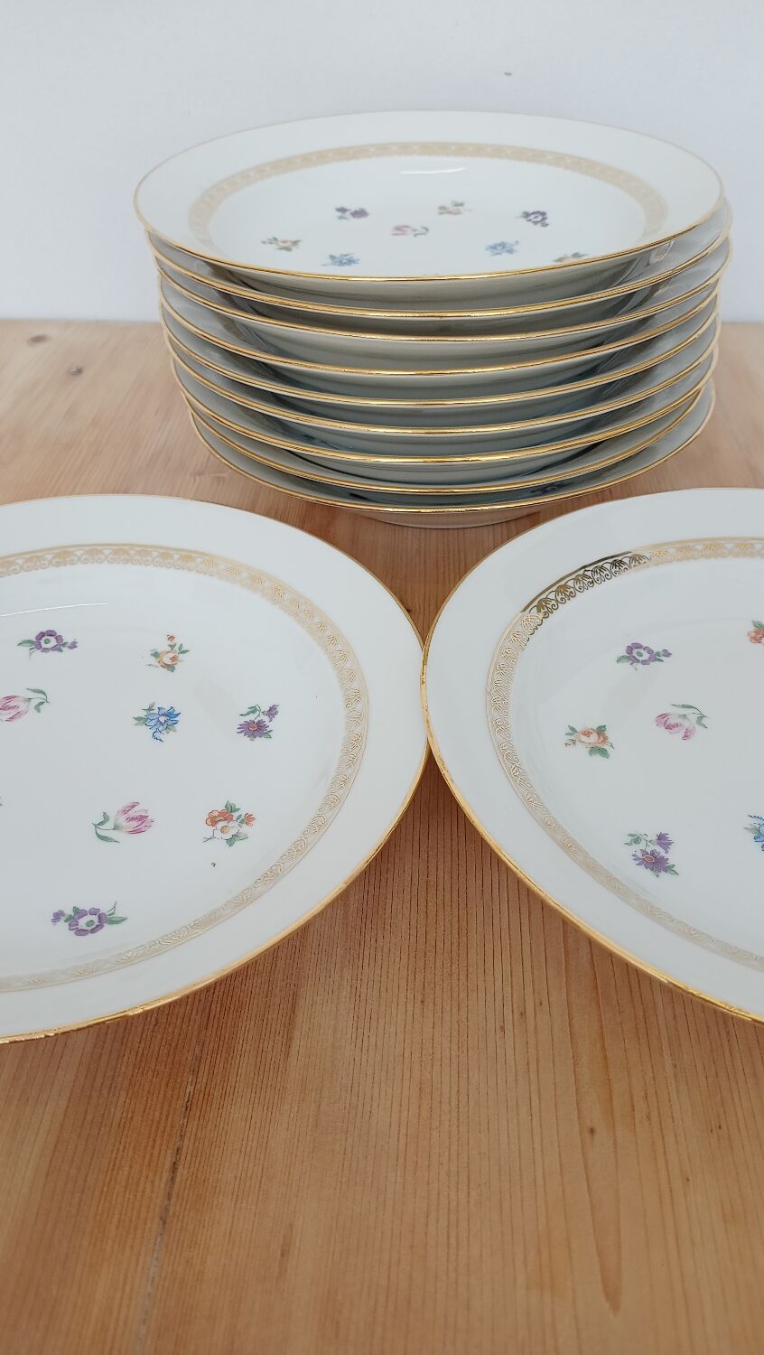 Hollow porcelain plates