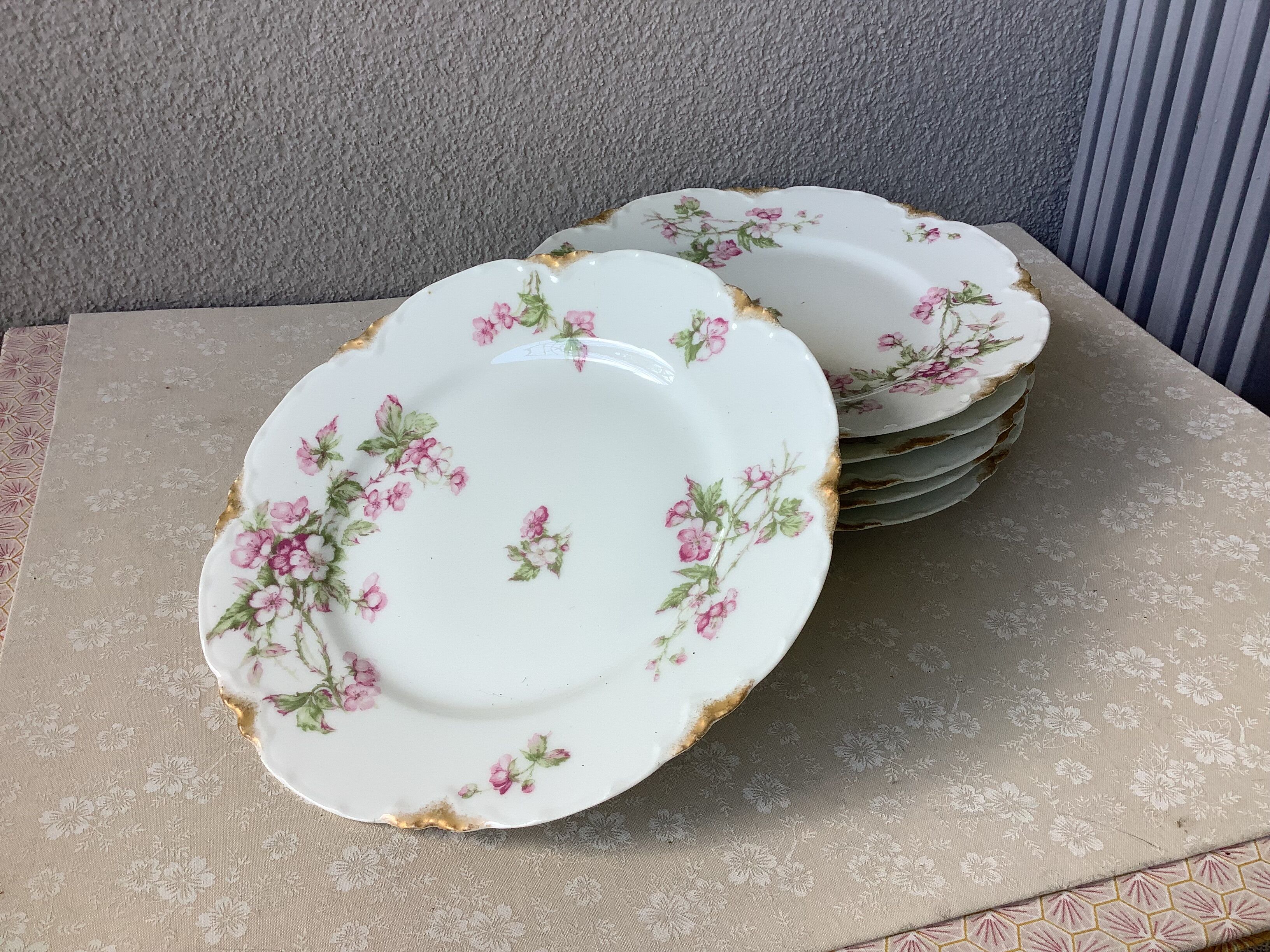 Plates Haviland Limoges 1900 - floral decoration liberty