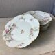 Plates Haviland Limoges 1900 - floral decoration liberty