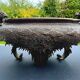Dragon basin - large planter - in bronze, Meiji period