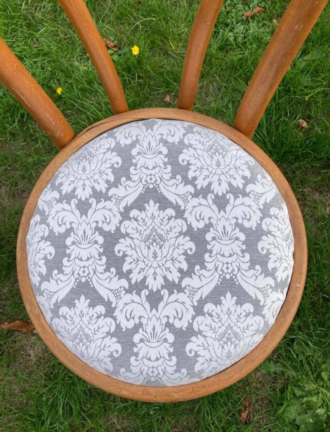 6 Bistro Chairs Fischel Thonet Bent Beech Damask Fabric
