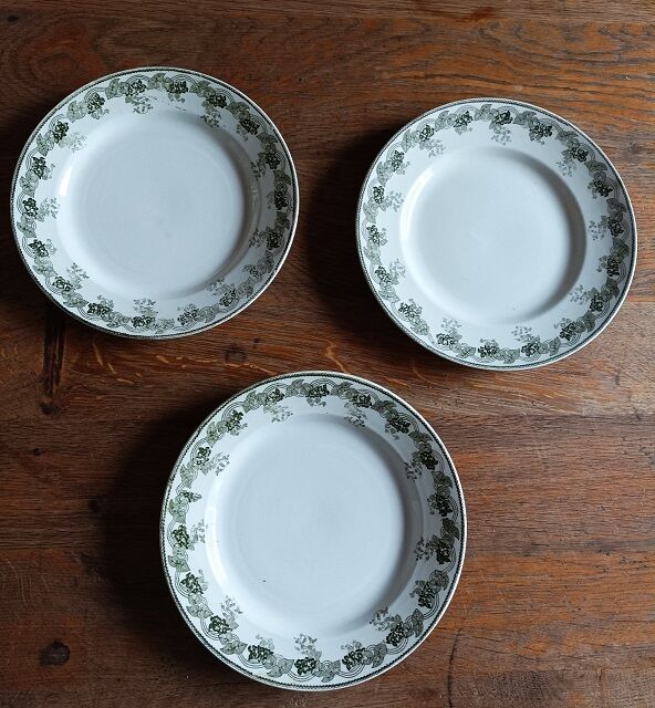 Plate mill wolves Violetta