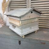 Ancient hive