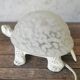 Turtle lamp