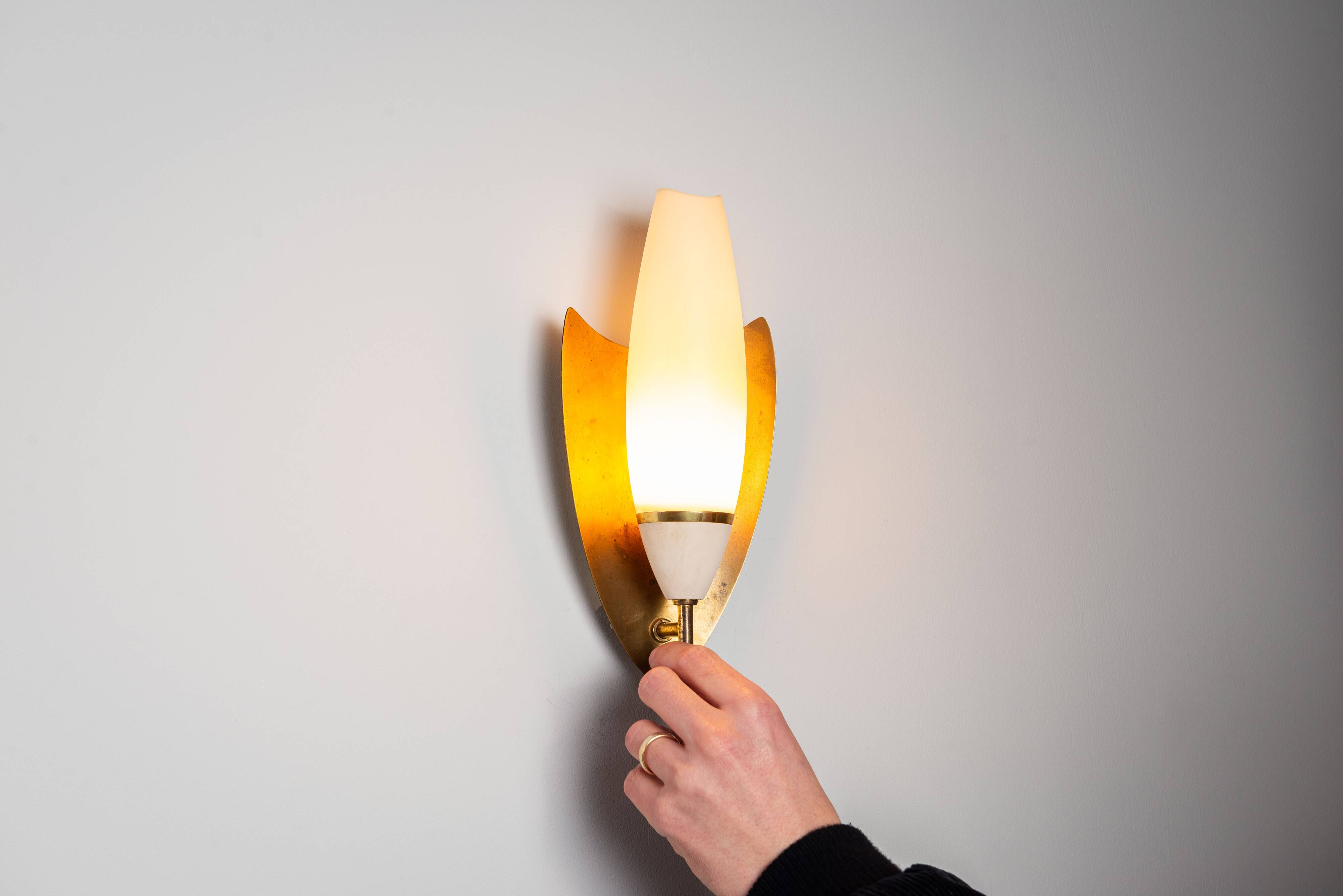 Pair of wall lamps with brass shields and glass shades