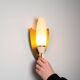 Pair of wall lamps with brass shields and glass shades