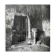 Black and white silver photography early twentieth century