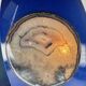 Sculptural lamp in ceramic and slice of agate, France 1970 signed.
