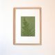 Painting on paper, herbarium and botanical series signed Eawy.