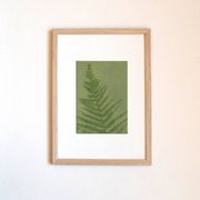 Peinture sur papier série herbier  et botanique signée Eawy