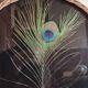 Vintage rattan tray with peacock feather
