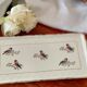 Plat à cake Ceranord St Amand, motifs oiseaux