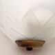 Flower-shaped molded glass wall lamp