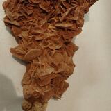 Rose des sables