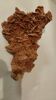 Rose des sables
