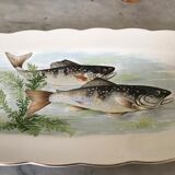 Plat Digoin & Sarreguemines