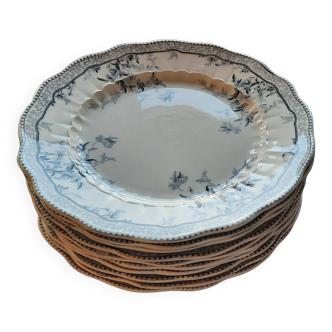 faience Anglaise Ridgway , 10 assiettes plates. Antiques TBE.