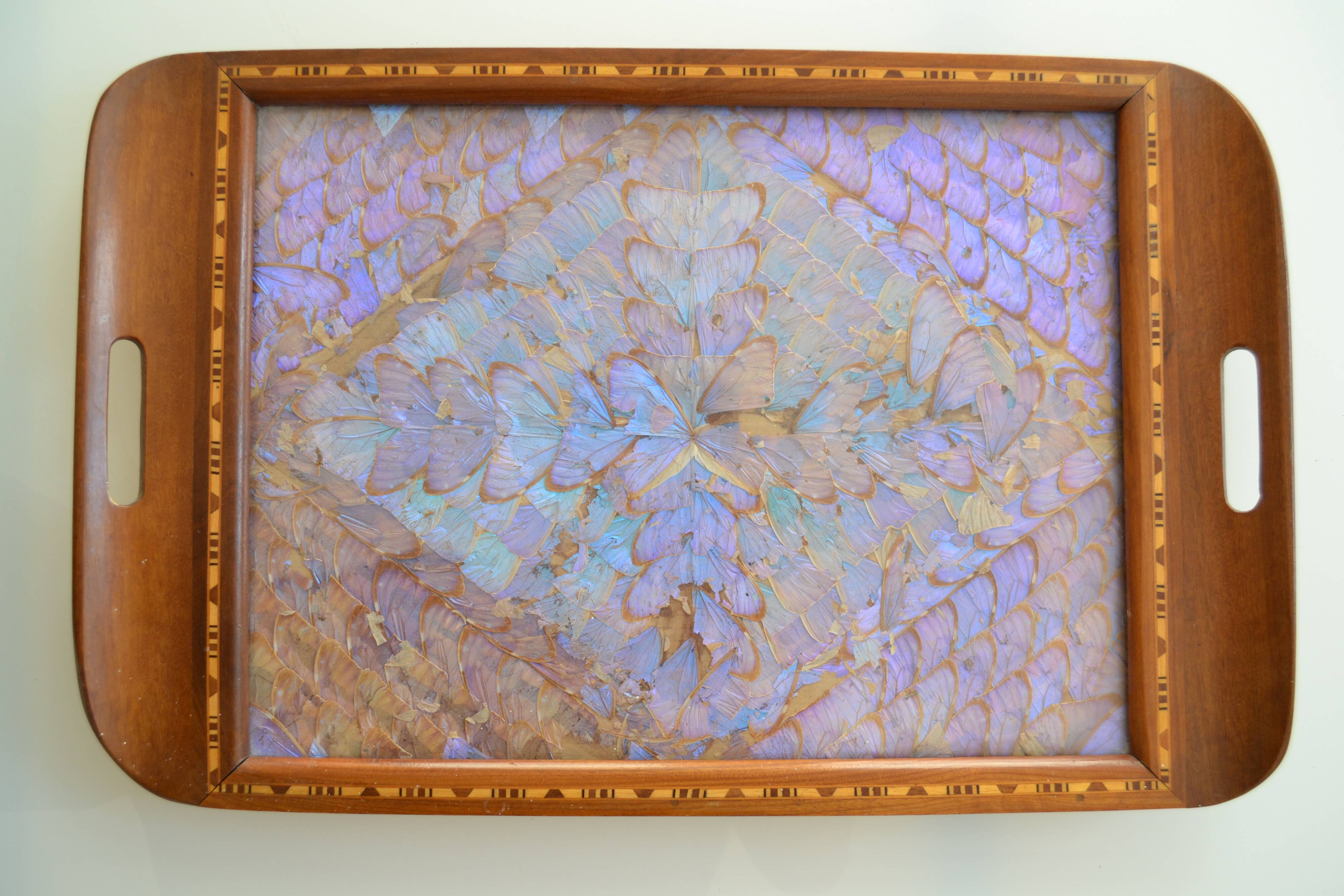 Plateau butterfly wings under glass exotic wood and marquetry Brazil