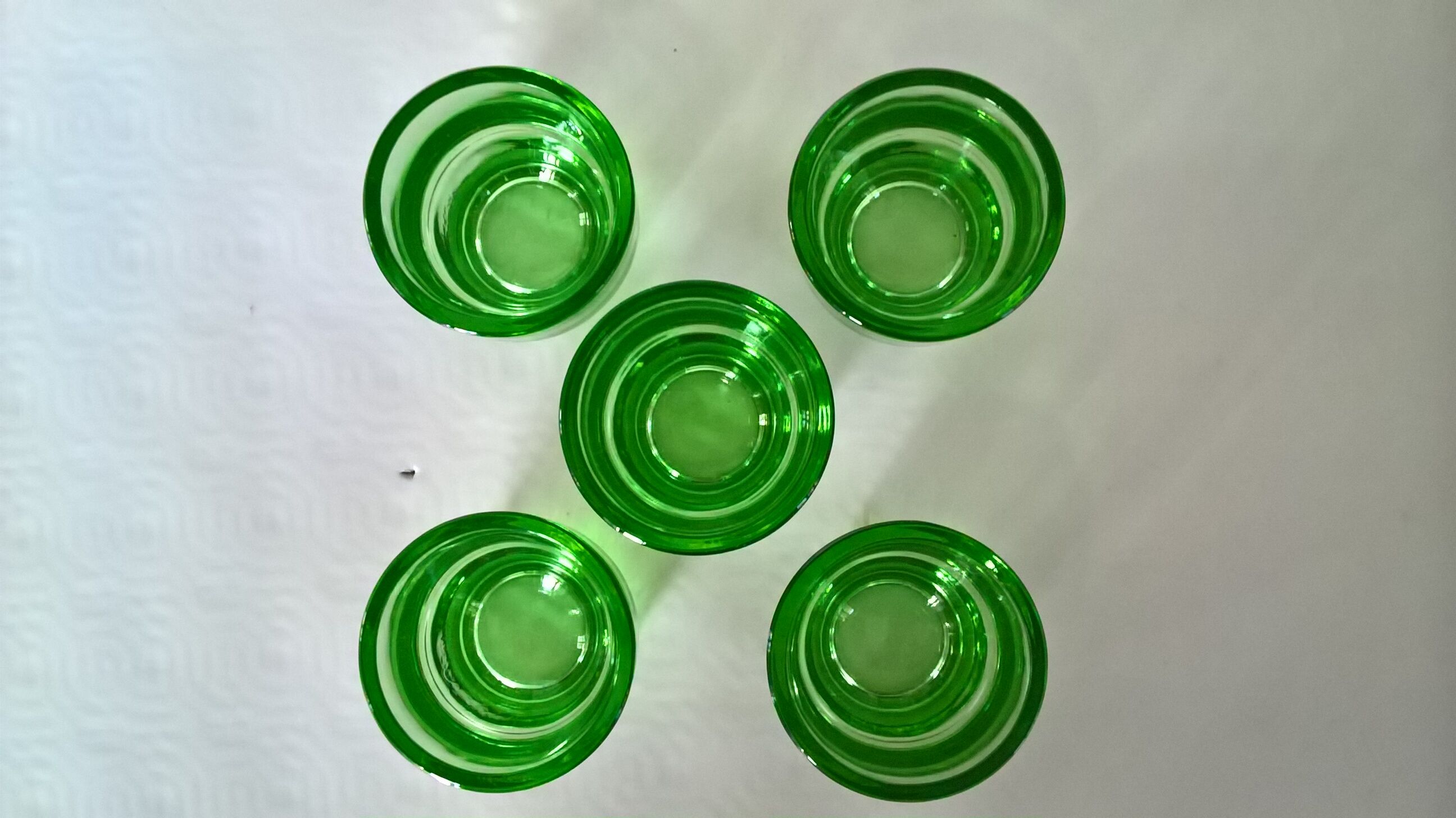 Lot of 5 cockroaches