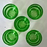 Lot of 5 cockroaches