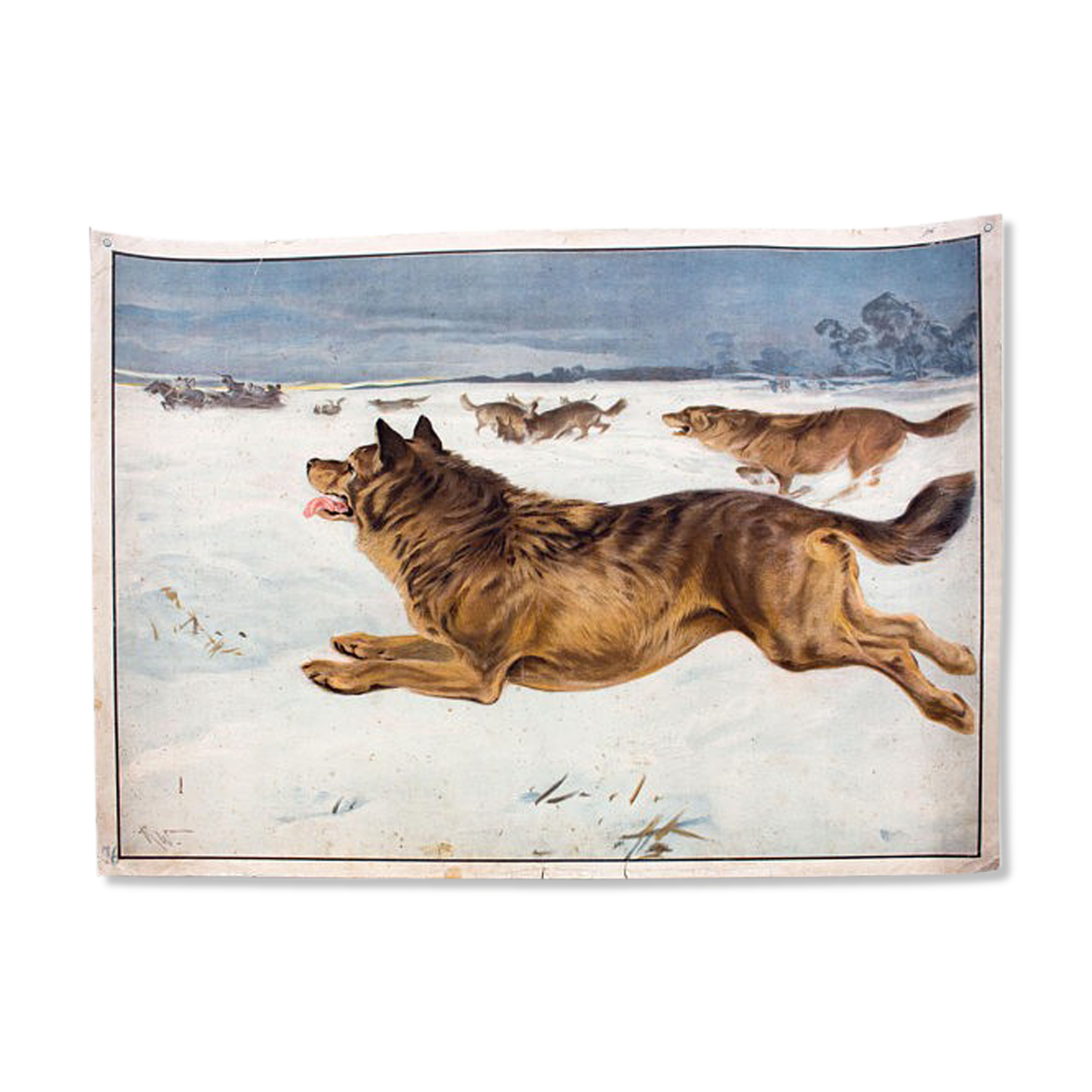 Dog, educational grid, 1891