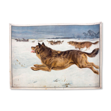 Dog, educational grid, 1891