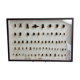 Entomologist's Collection, 67 varieties of Hymenoptera