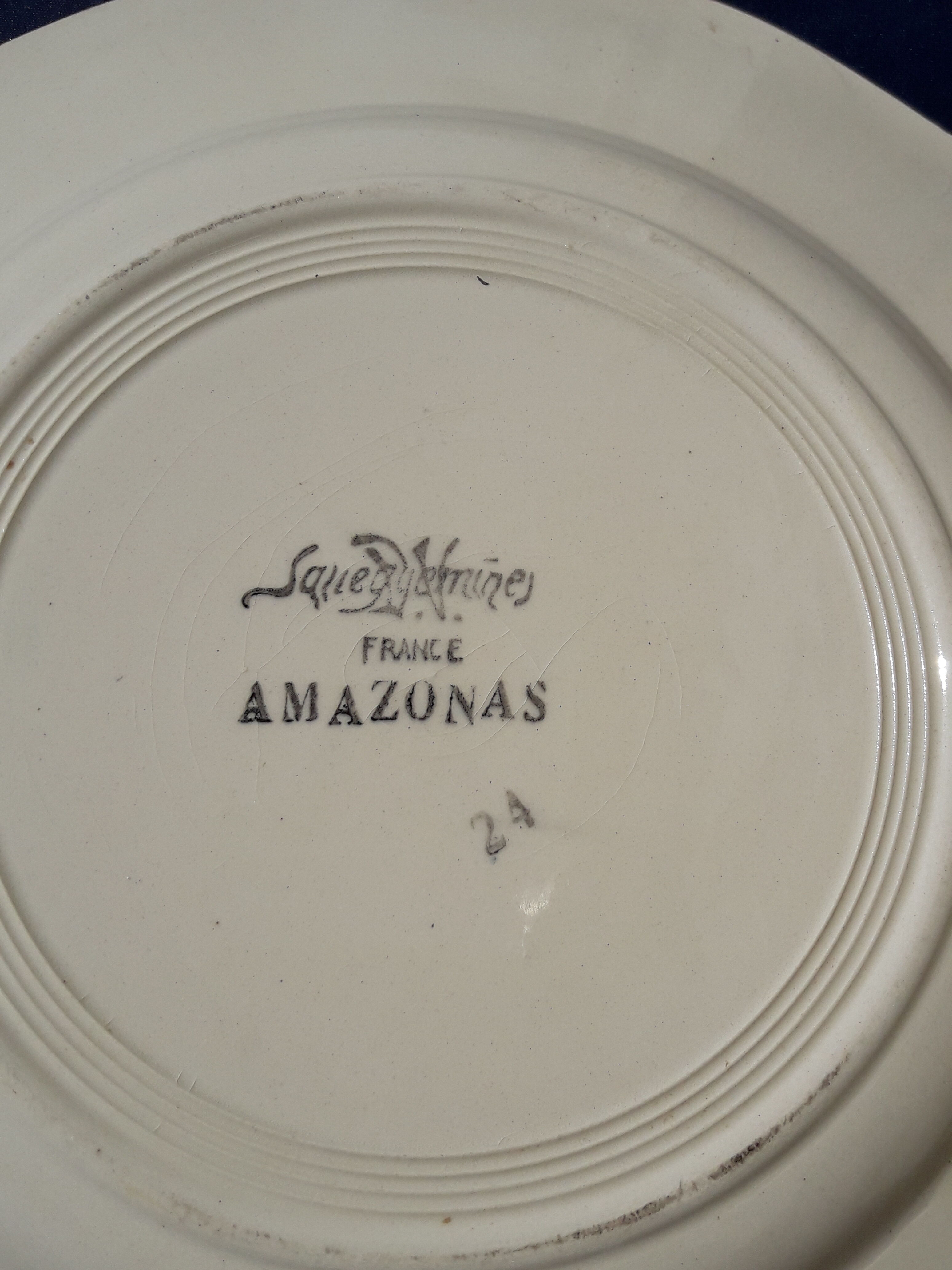 Set de 2 assiettes en faïence de Sarreguemines modèle Amazonas diam 22,5 cm